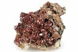 Deep Red Vanadinite Crystals on Barite - Morocco #231838-1